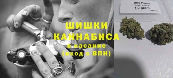 mdpv Каменногорск