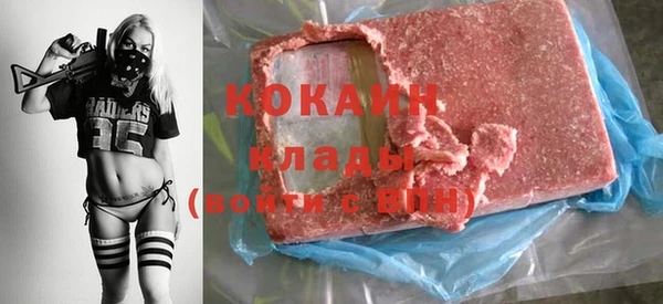 mdpv Каменногорск