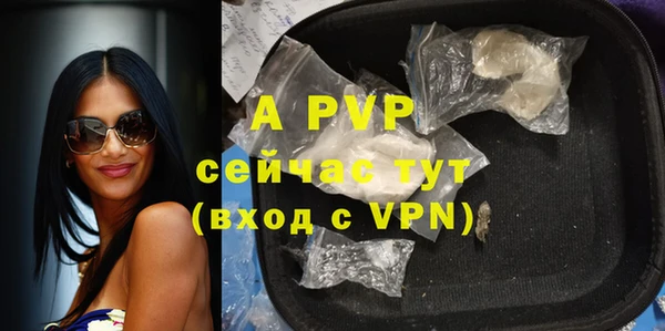mdpv Каменногорск